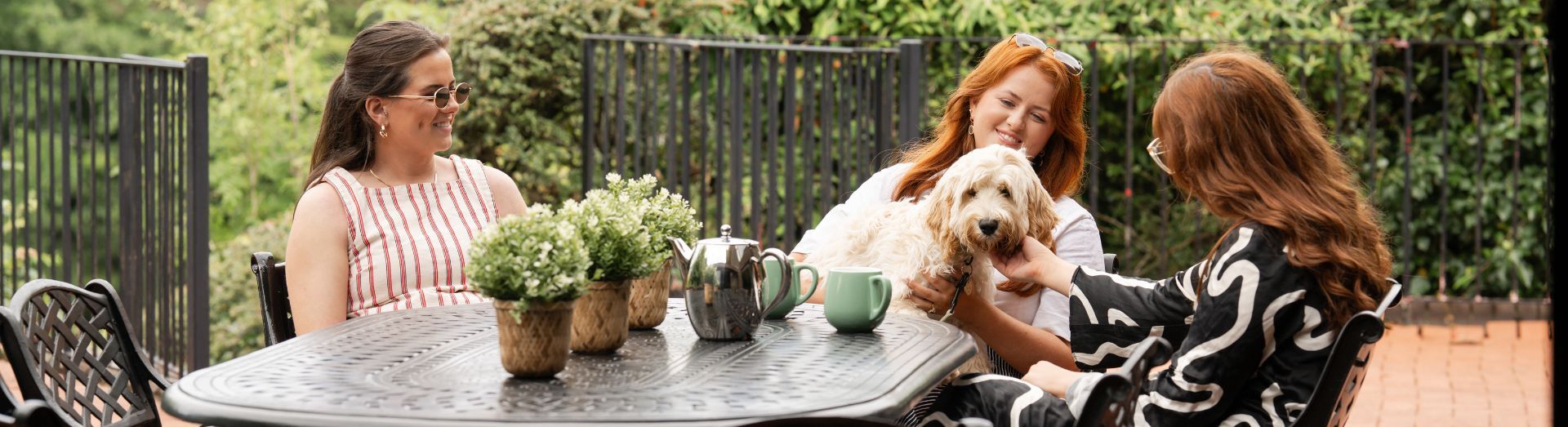 Dog Friendly
