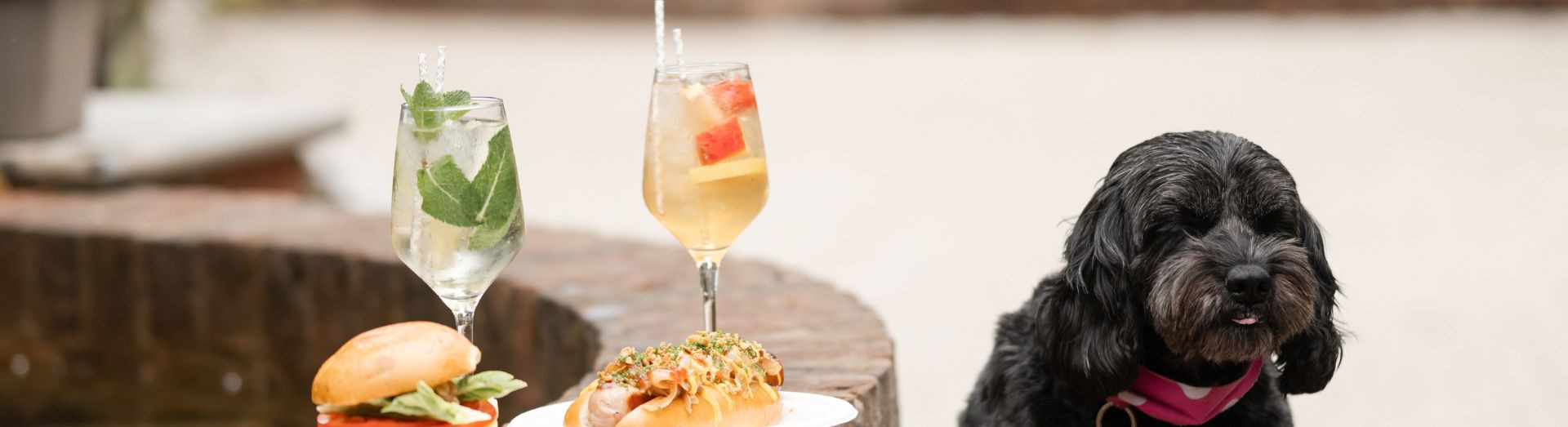 Bbq The Rabbit Hotel