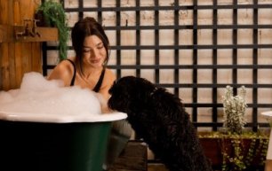 Festive stays www.rabbithotel.com_v2