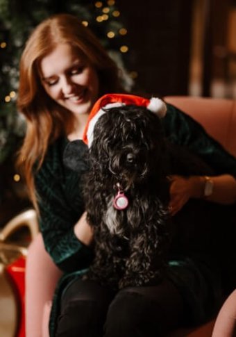 Christmas The Rabbit Hotel