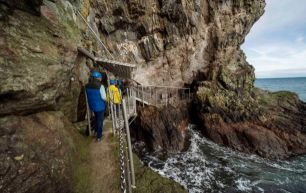 Gobbins The Rabbit Hotel