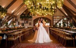 Rabbit  info cards The Rabbit Hotel