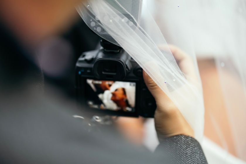 Katie  sean The Rabbit Hotel