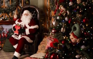 Santa The Rabbit Hotel