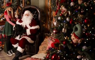 Santa paws The Rabbit Hotel